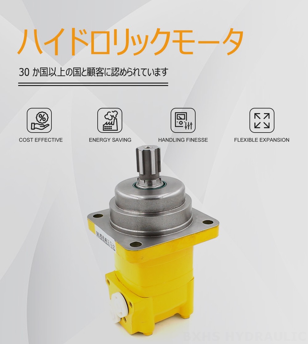 BM5Wサイクロイド油圧モータ 195 cc/r 75 Lpm 油圧モータ